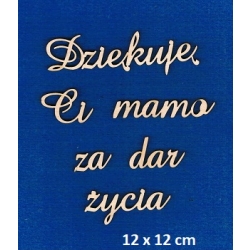 Dziękuję Ci mamo za dar życia - cały napis wymiar : 12x12cm